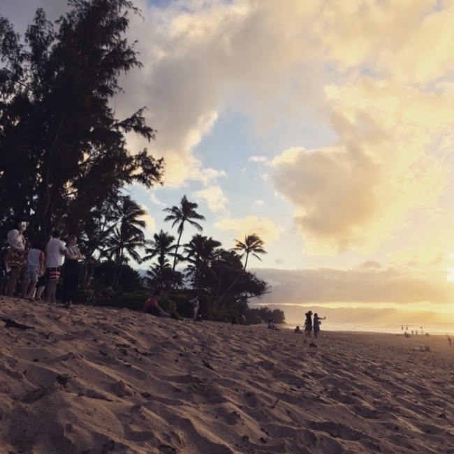 やすみんひろこ さん ペットのおうち 月間利用者150万人