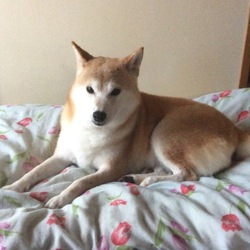 いろんなところで～～(-_-)/~~~