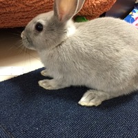 まる