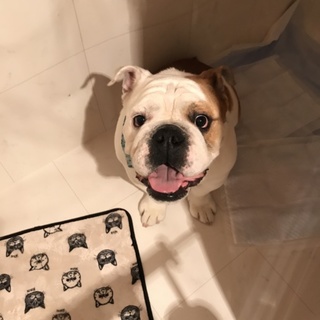 甘えん坊な3歳  ぶぶたろう