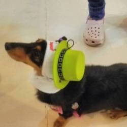 少し早いhappy Halloween