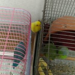 病院に行って来ました。