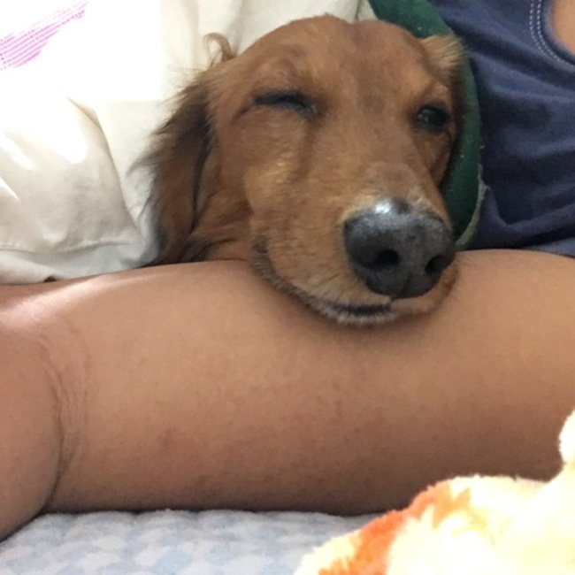 将一のカバー写真