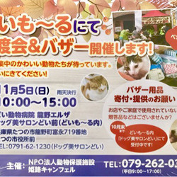 譲渡会＆バザー