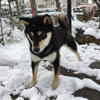 もか