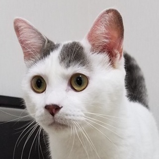 甘えん坊のコラッチ☆