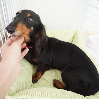 シニアだけど元気です☆