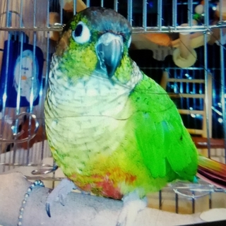 一時中止中です。