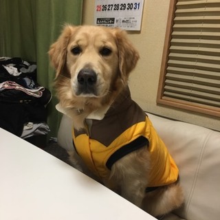 可愛がってあげて下さい