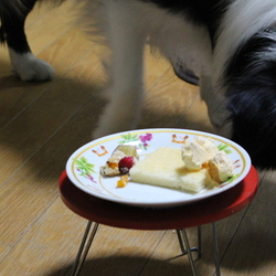 「誕生日（1歳）」サムネイル3