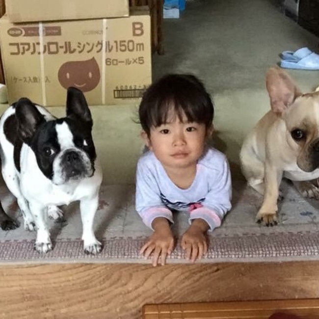 いちままのカバー写真