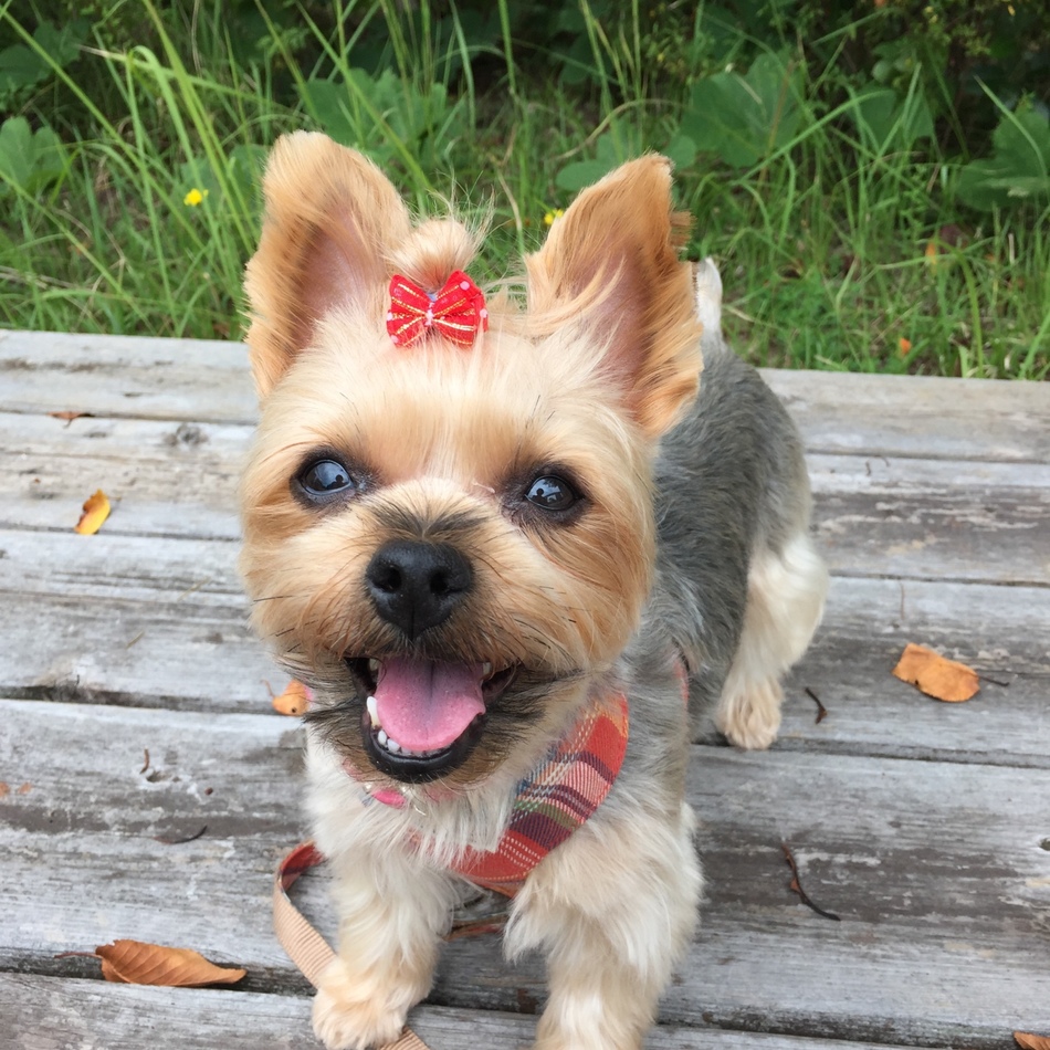南條 恭子のカバー写真