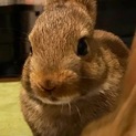 とても素敵なママの子どもになりました
