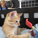 皆様ありがとうございました