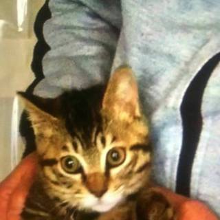 あなたを待ってます