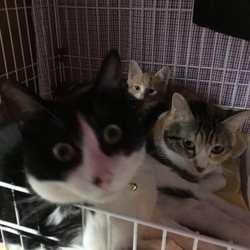 合宿？雑魚寝？