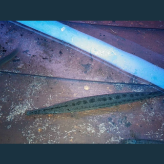 スポッテットガー