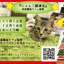 にゃんこ譲渡会 サムネイル1
