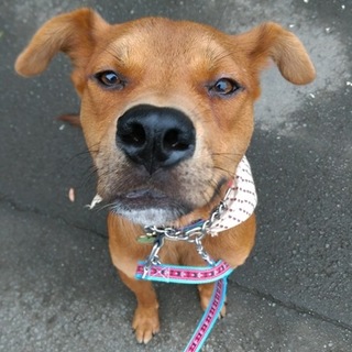 見た目と中身のギャップ大！