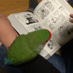 次男とわっちゃん