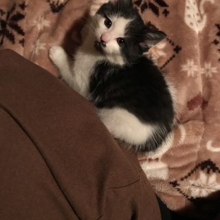 9月16日に生まれました