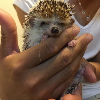 ありがとうございました