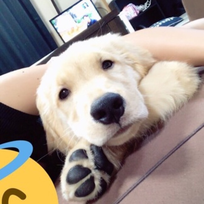 きんぐとだいあのカバー写真