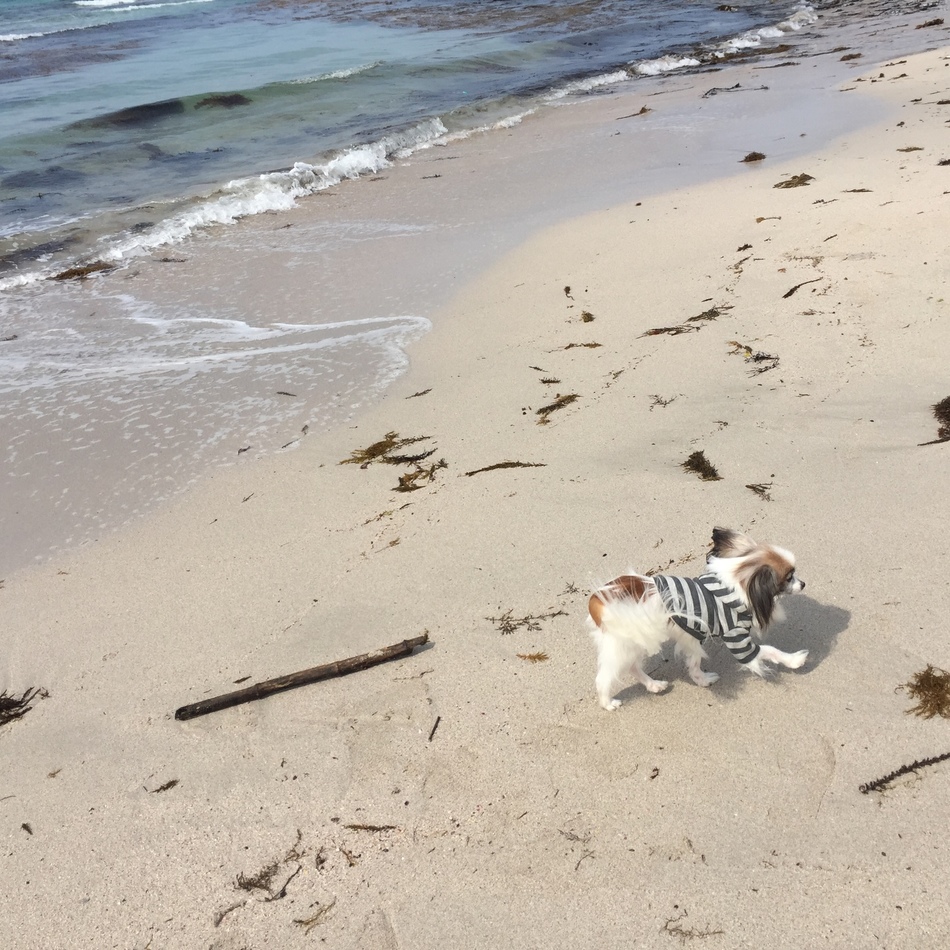 チュンのカバー写真