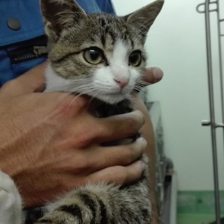 思わず抱きしめたくなるほど可愛いマリーちゃん