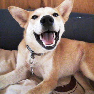 とっても穏やかで優しい 真(まこと)くんです。