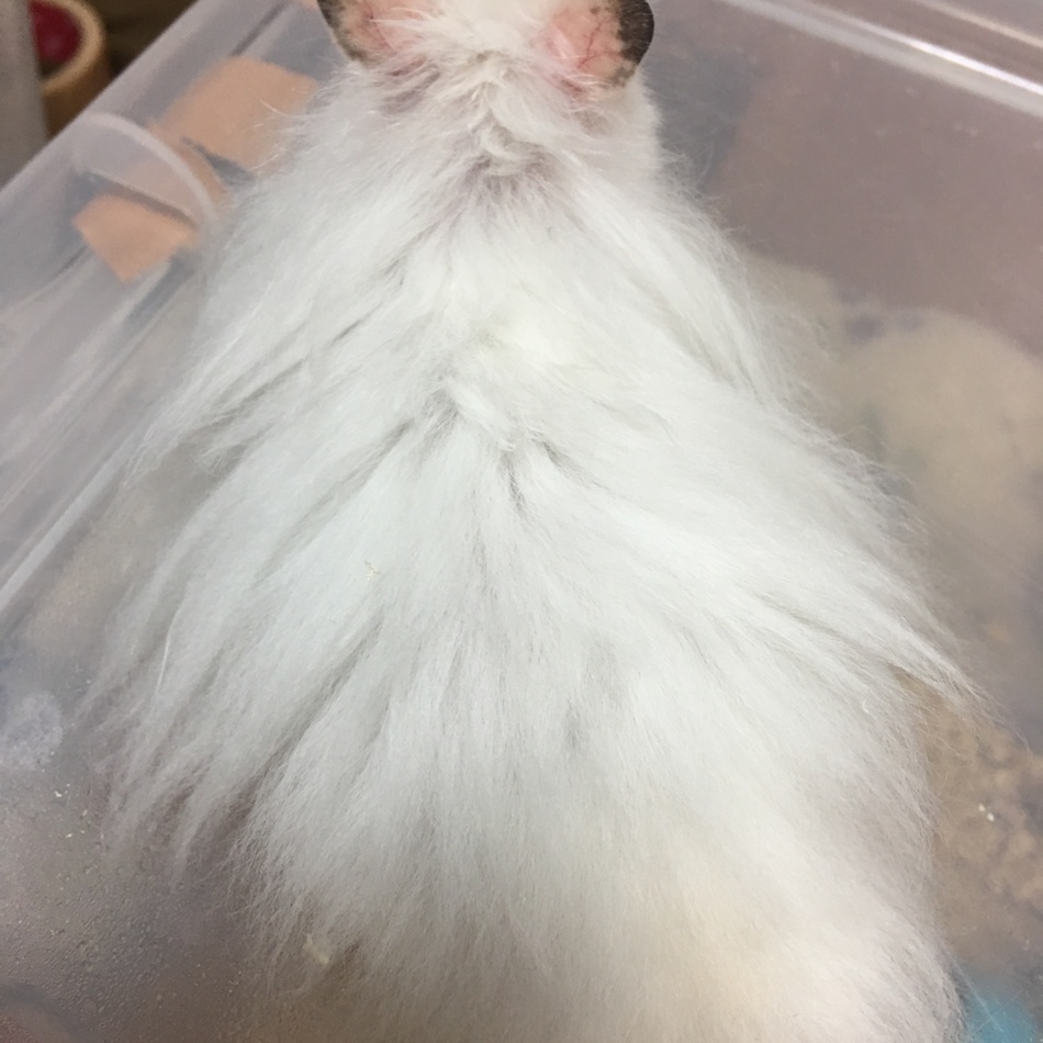 しおじいのカバー写真