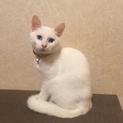 ブルーアイの男の子♪