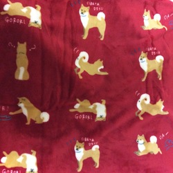 えっ？可愛い(*´ー｀*)よ？？