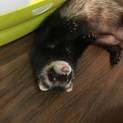 みんな元気いっぱい遊びます