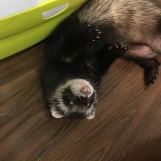 みんな元気いっぱい遊びます