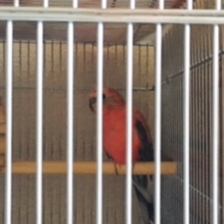 ご応募ありがとうございました！