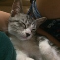 無事家族が決まりました！