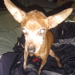 下痢去りて便秘来たるもまた去なん。