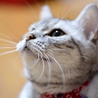 牡丹 呼び名⇨ぼん、ぼんちゃん