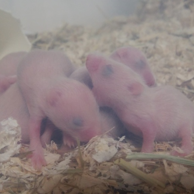 みなとまとのカバー写真