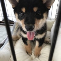 源