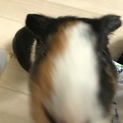ありがとうございました。