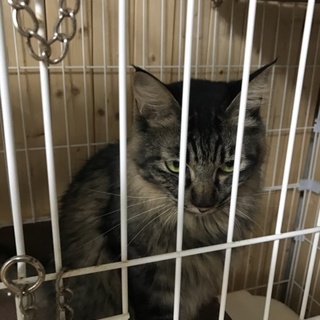 くりくりお目めの男の子！