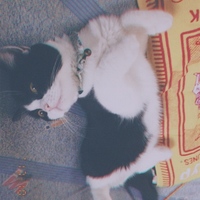 妹子(いもこ)呼び名いもちゃん