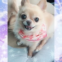 華