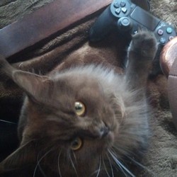 「If...」サムネイル1