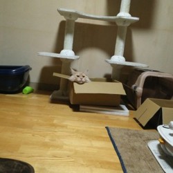 「If...」サムネイル2