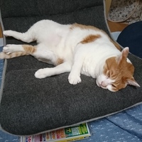 長田　七