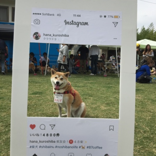 あんず3403のカバー写真