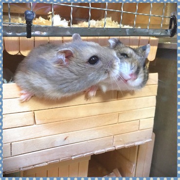 あからさまに嫌な顔(笑)